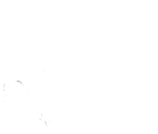 valkyrie-pole.ch logo
