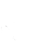 Valkyrie Pole - Logo
