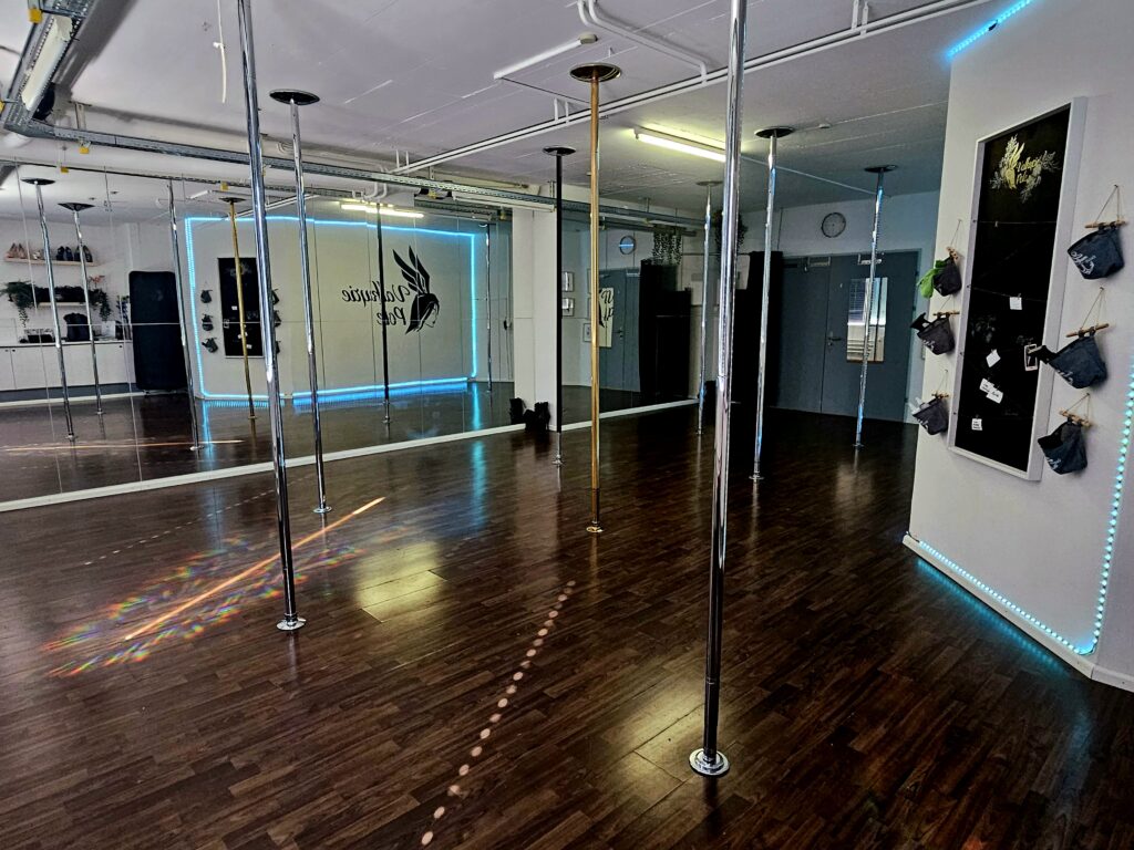 Pole Dance Basel by Valkyrie Pole