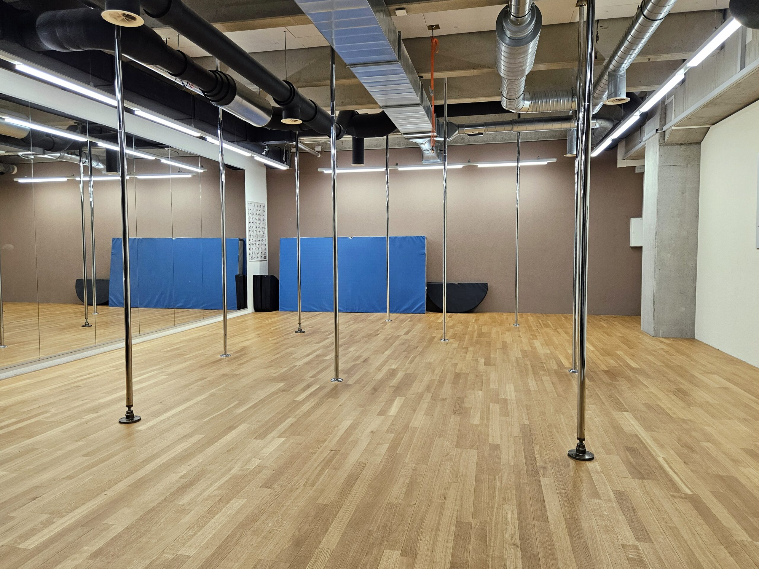 Studio Aarau (Unterentfelden) by Valkyrie Pole