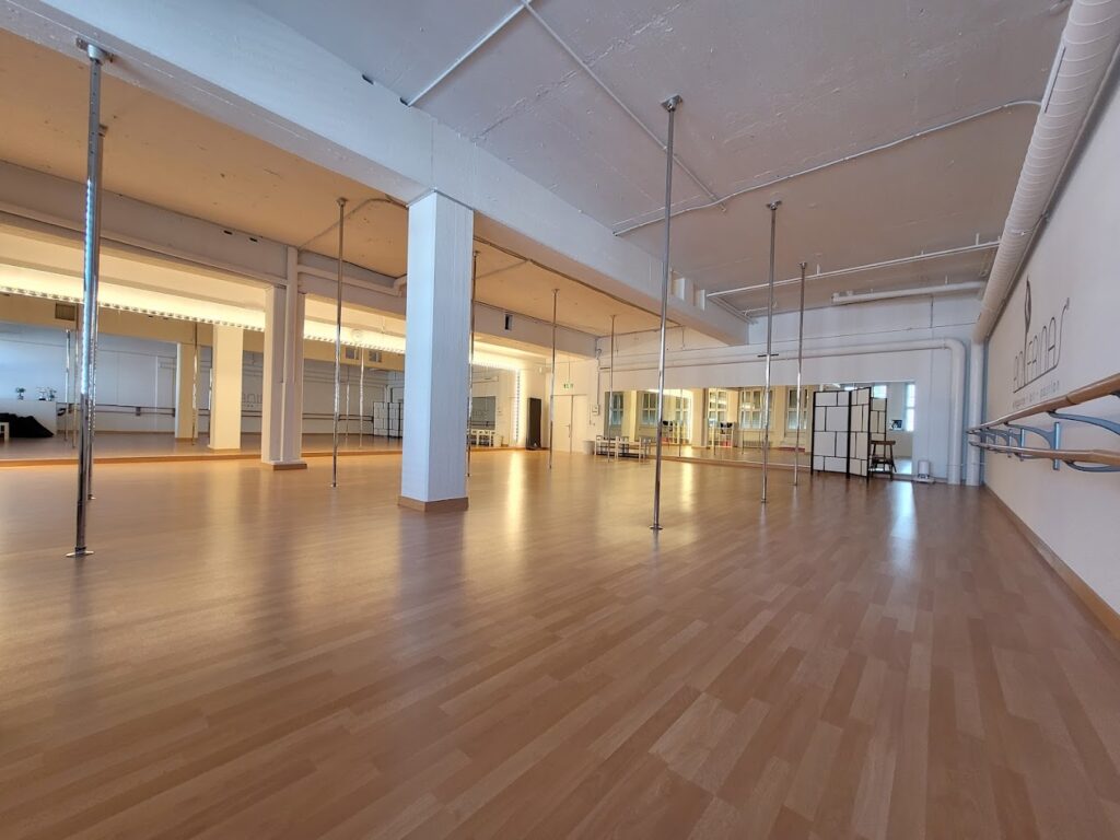 Aerial und Pole Dance Studio Zürich